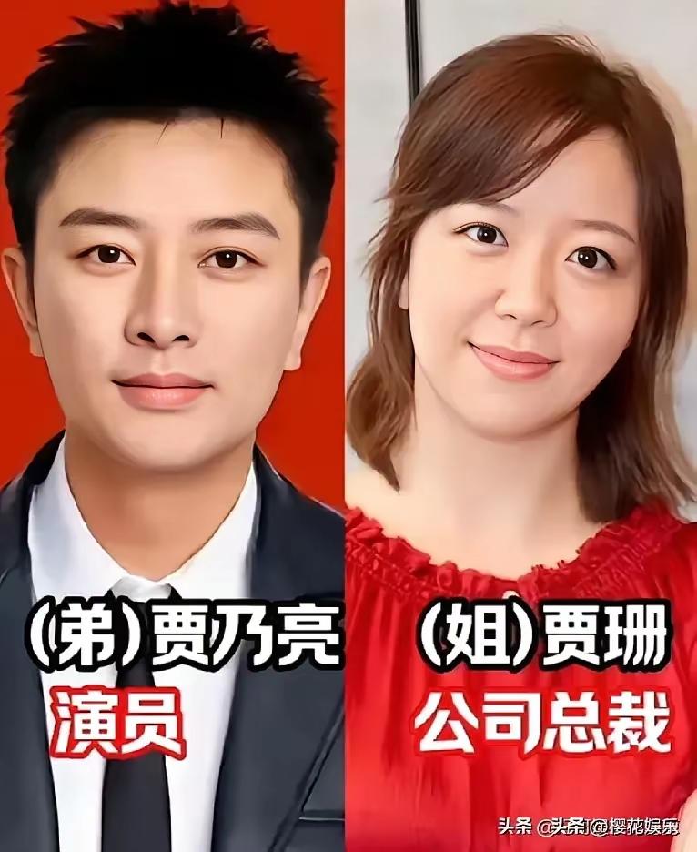 李幼斌的姐姐原来是李野萍呀 
娱乐圈里的硬核姐弟！贾乃亮的姐姐贾珊是公司总裁，难