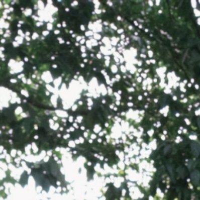 朱志鑫 🌻每日一善 🌲阳光信用 内心是温暖潮湿的地方，适合任何东西生长。在所