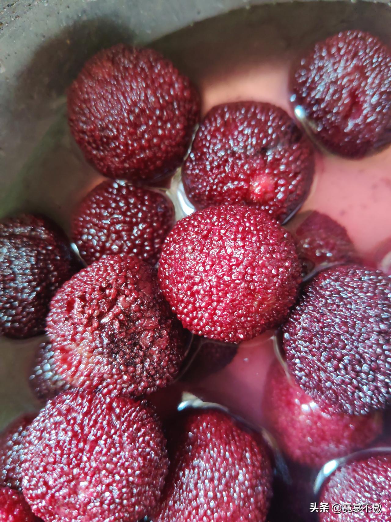 春日生活打卡季买了两斤杨梅泡酒，第三张是广告里的，第一第二张是买来的实物图，相差