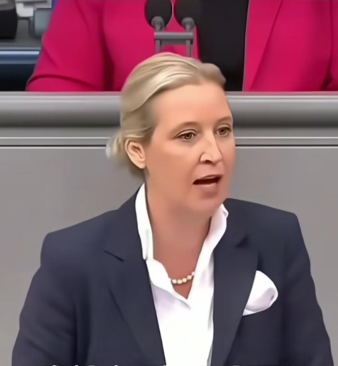 德国选择党魏德尔在一个论坛上，公开批评了欧洲，尤其是自己的祖国德国。
    她