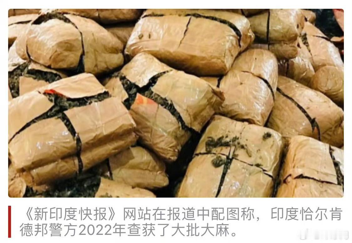 为给贩毒者判无罪，印度操作简直让人震惊
印警方称200公斤大麻被老鼠吃掉
明明可