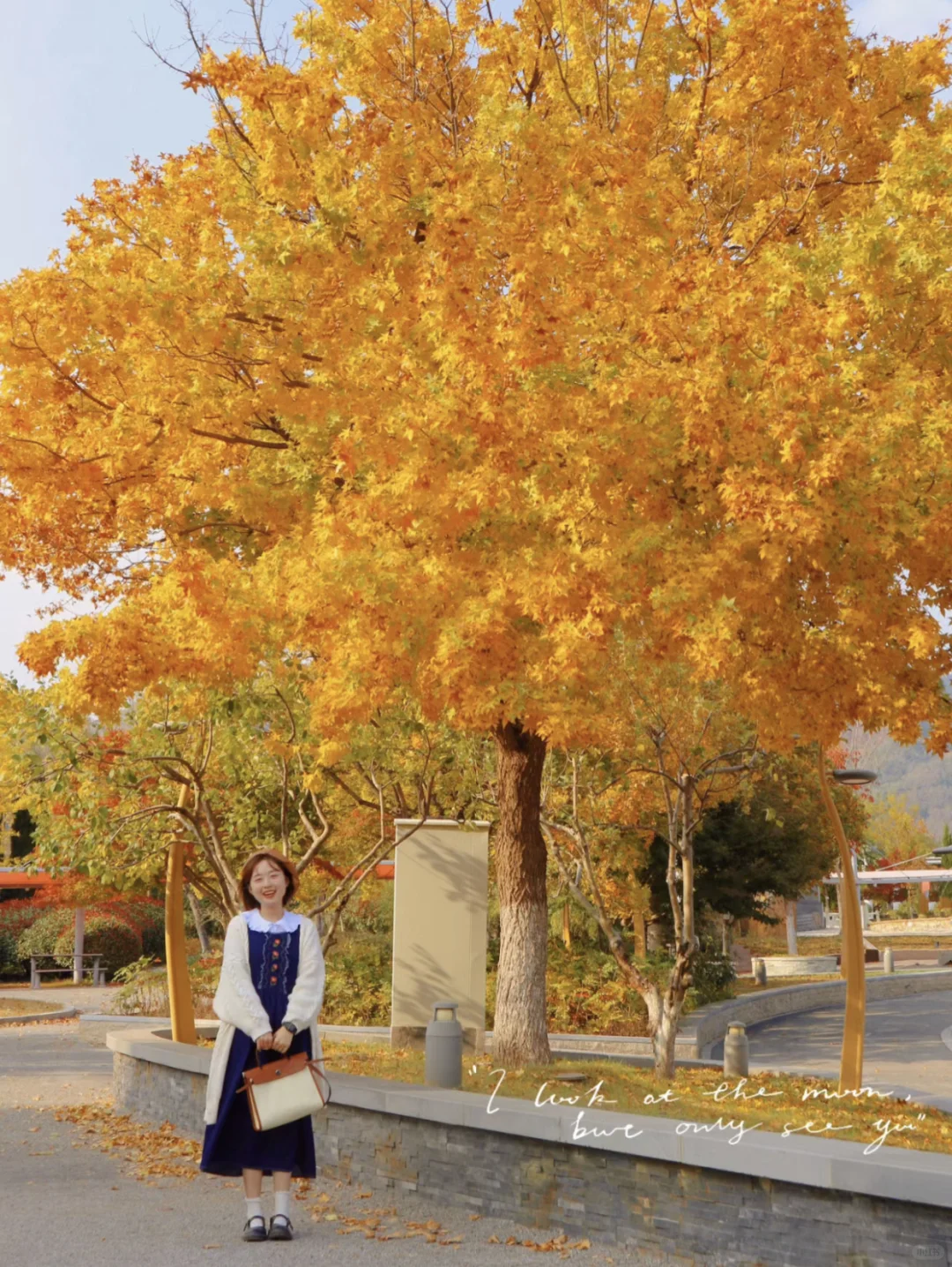 🍂为了秋天这几个景，值得专门来一次青岛！！！