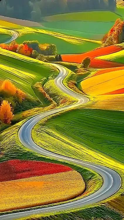 多彩田园，一路欢歌。#美丽画卷！# #共享美景图片# #秋色美景。# #秋天佳景