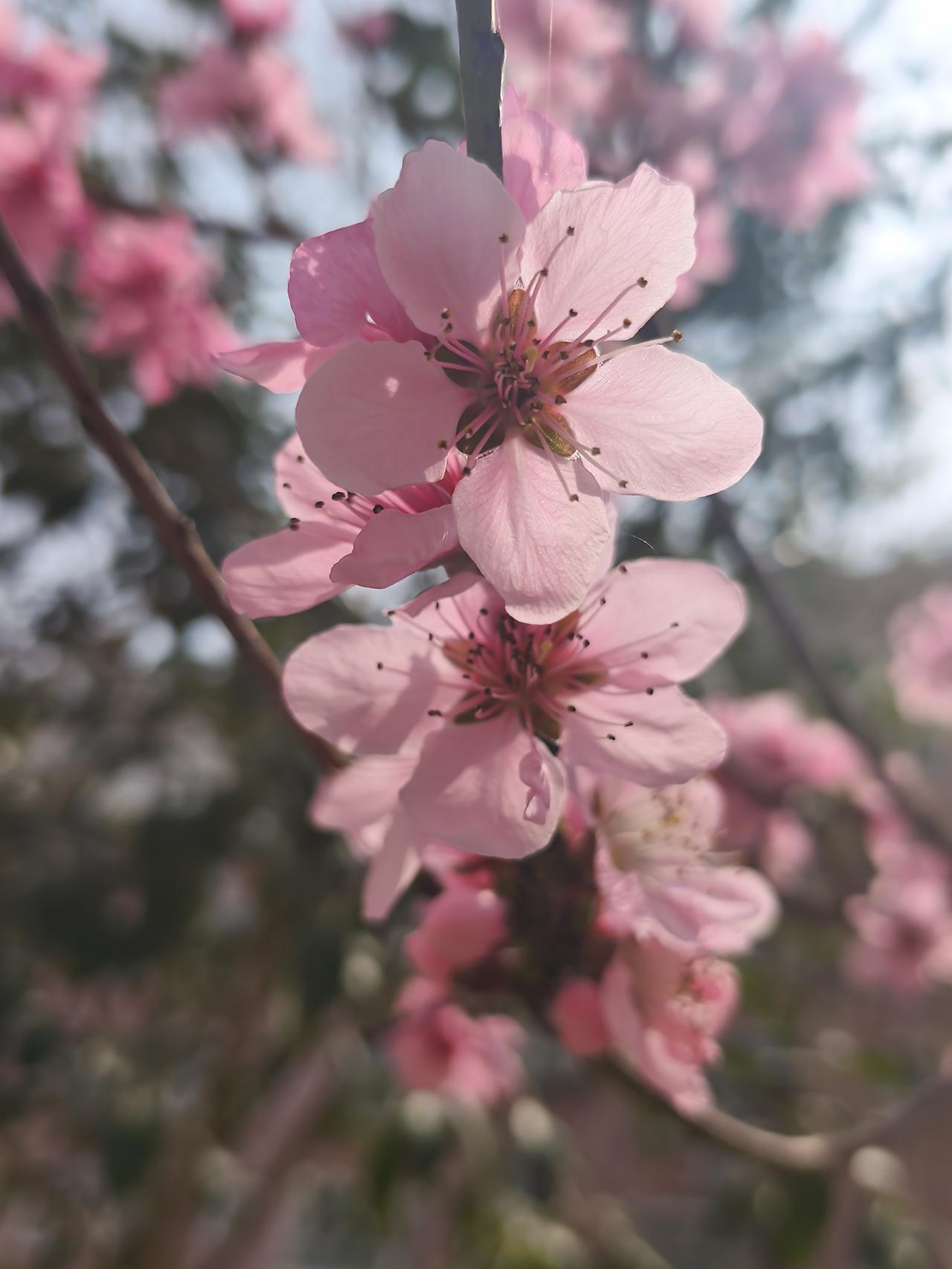 走过的路，会留下脚印。
说过的话，风听到了。
花过的钱，都记了一笔帐。
做过的事
