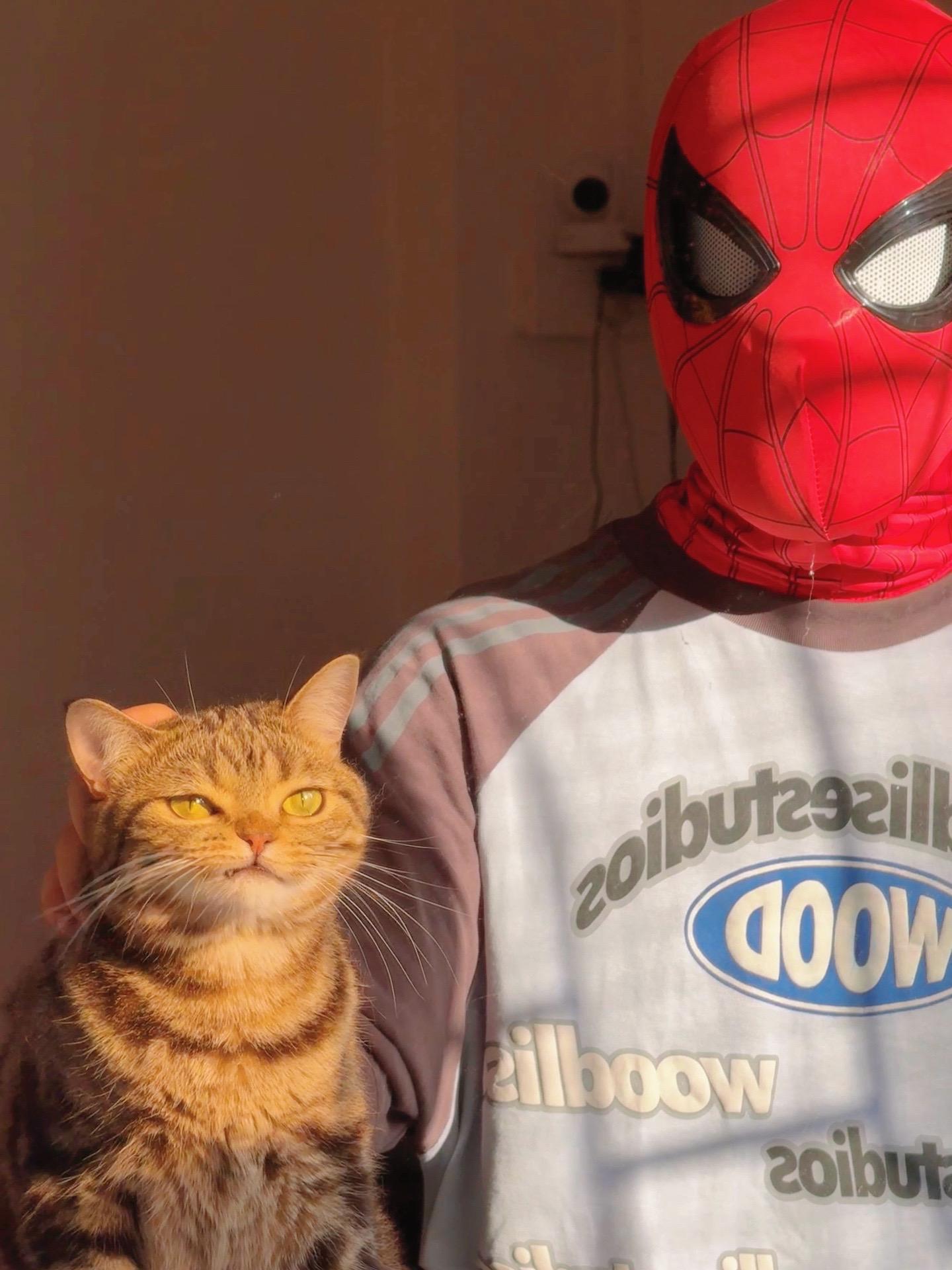 小猫才是主角！因为她看起来比较拽