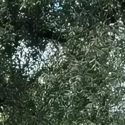 我们要想心系祖国就一定要确立一个远大的志向，树立和培育正确的理想信念，对自己的未
