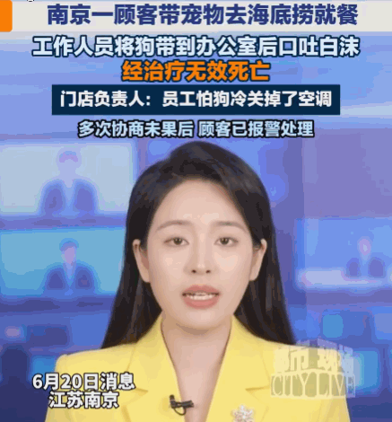 好心办坏事！南京，一女子带宠物狗到海底捞就餐。因宠物不能进入用餐区，门店员工便将