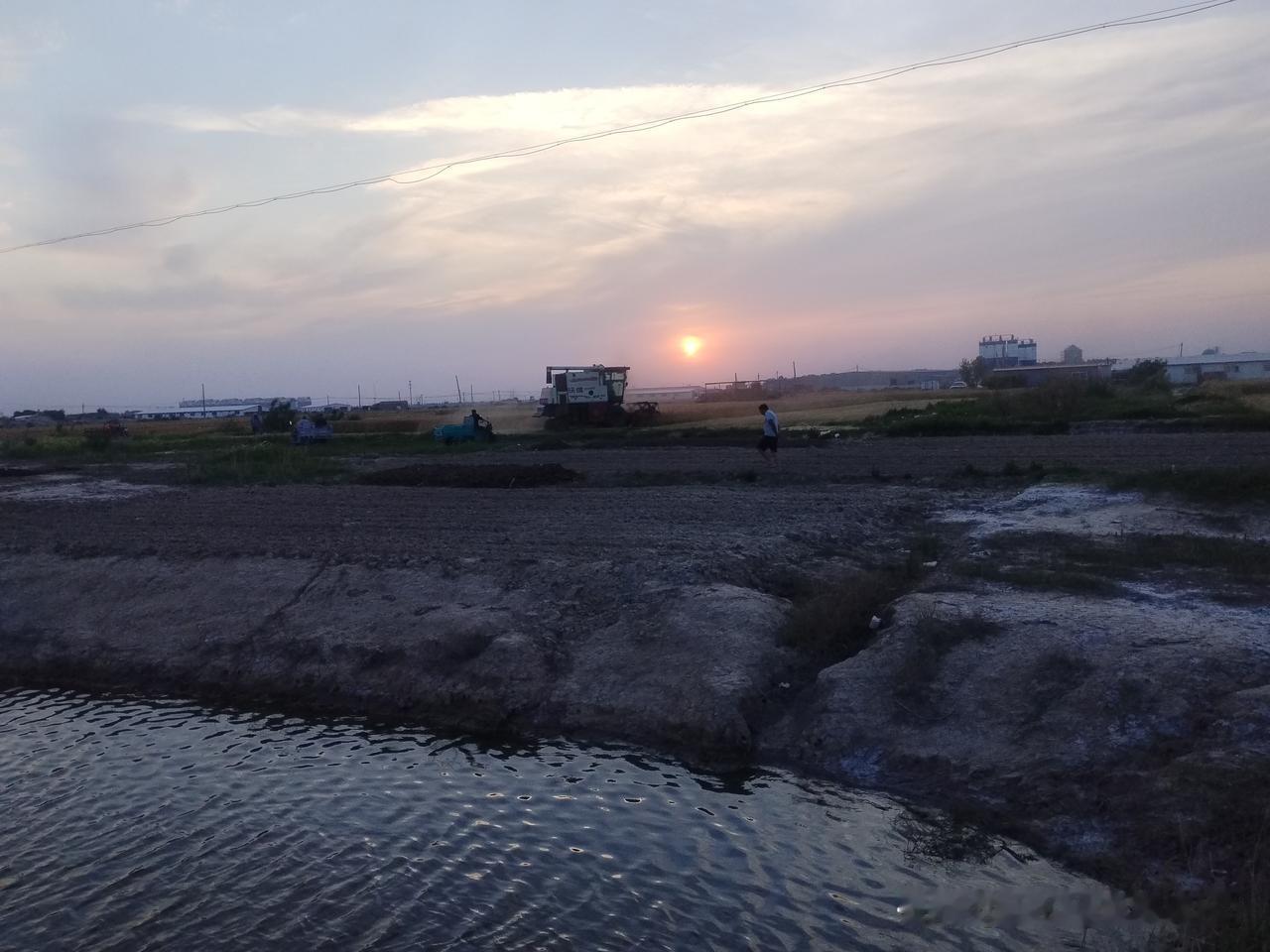 随手拍下初夏美景