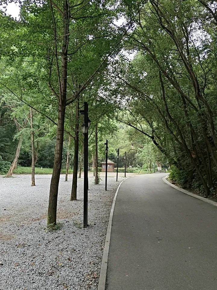 规范景区摆渡车，让旅游消费更透明安心

如今绝大多数大型景区，都配套设置了观光摆