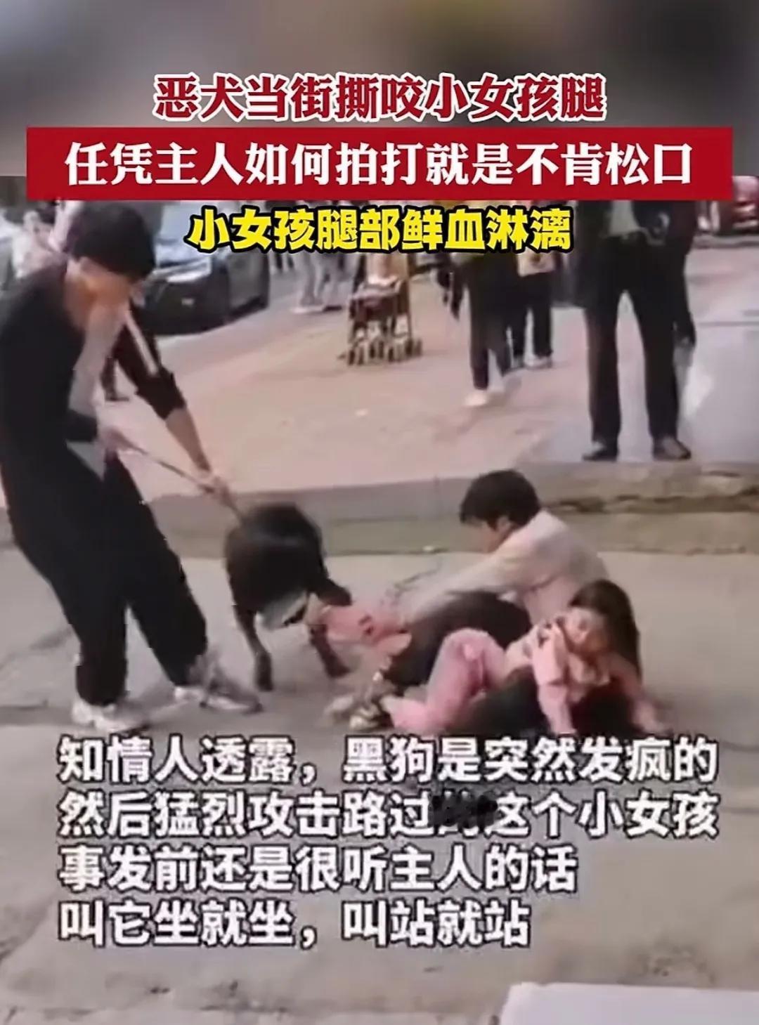 小女孩撕心裂肺的哭喊
黑色恶犬发疯似的撕咬
畜牲男主抓狂般的抽打
真是：
恶犬人