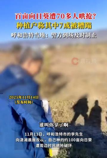 法不责众！内蒙古呼和浩特，男子承包了400亩地，全部种植向日葵。辛辛苦苦一年，眼