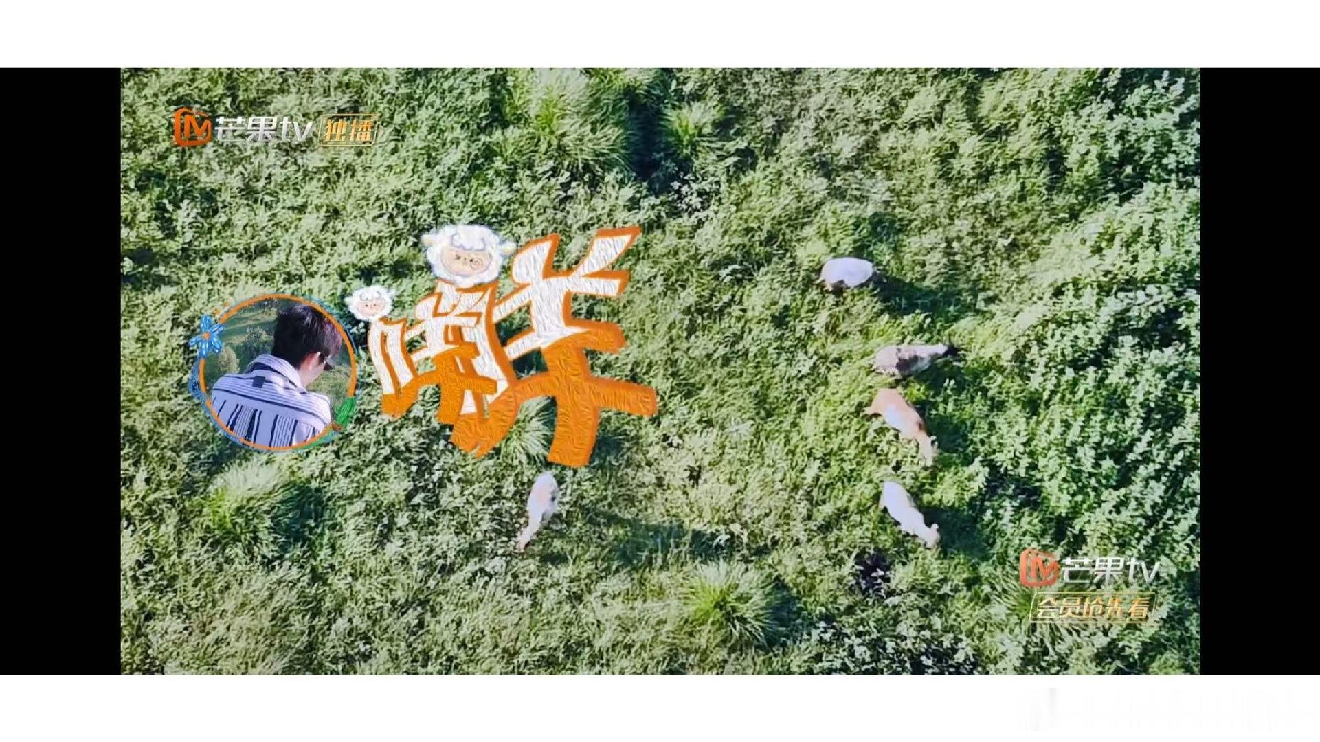 邓为学羊叫邓为“诶～有羊?，咩～咩～”也太可爱了吧！ ​​​