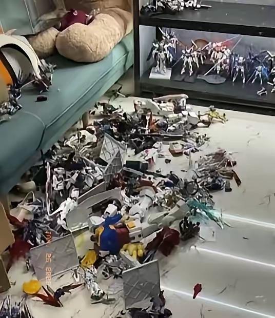 新疆，一女子生病嫌弃丈夫不关心自己，两人发生争吵，一气之下，女子冲到房间将丈夫珍