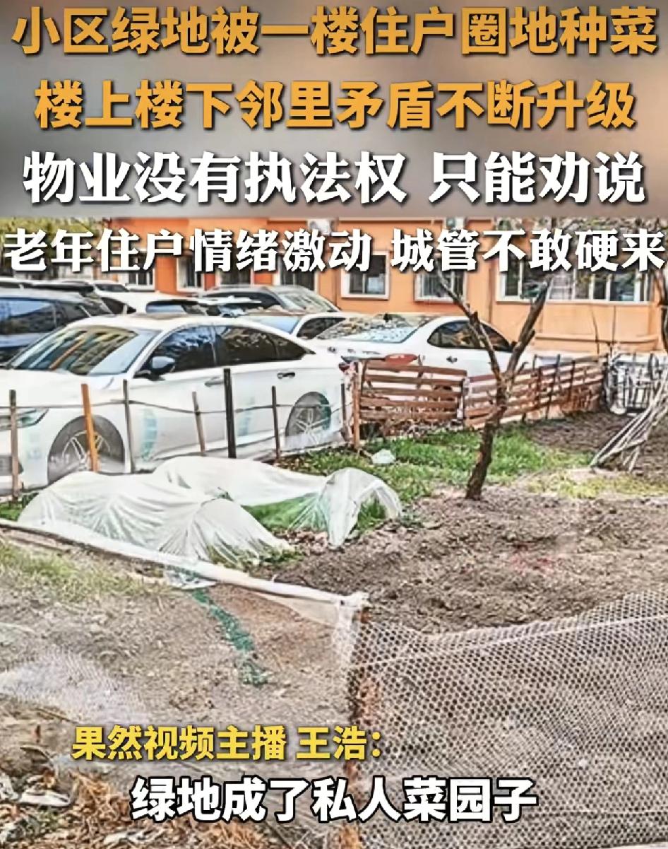 哈尔滨一小区随着天气转暖，1楼的业主纷纷圈种菜，楼上楼下的矛盾激化升级。该小区原