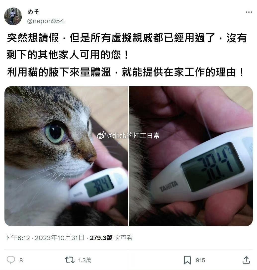 小猫成了请假工具猫 ​​​