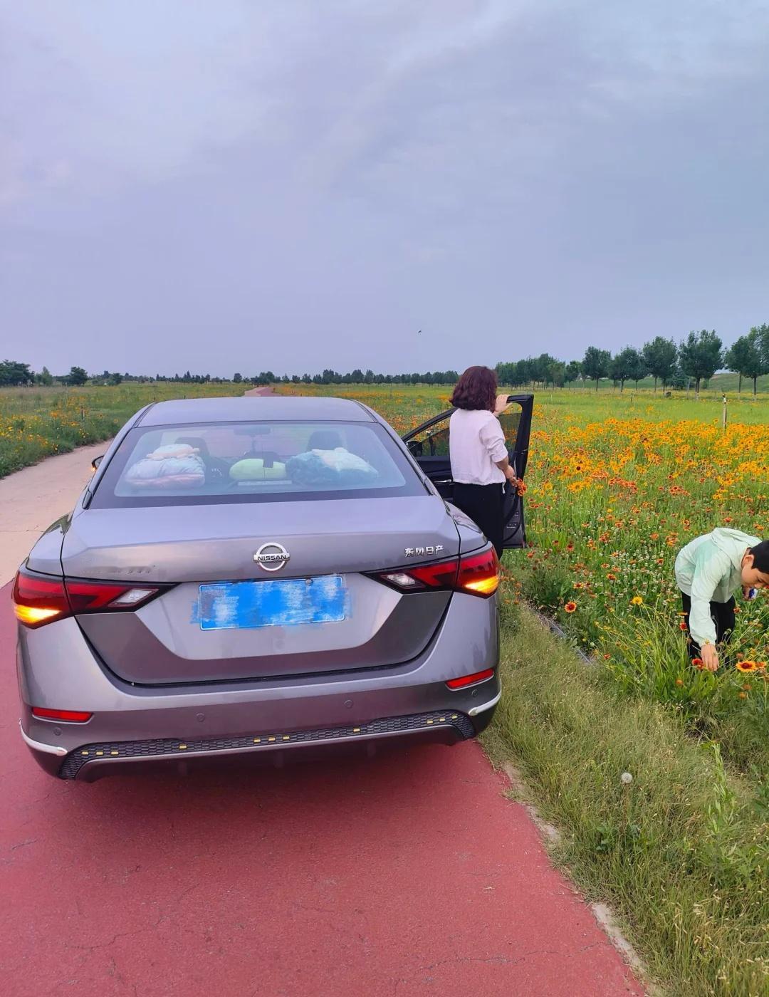 我和爱车的出行封面图
开着我的14代轩逸出门兜风，偶遇一片开满小花的郊外小路，落