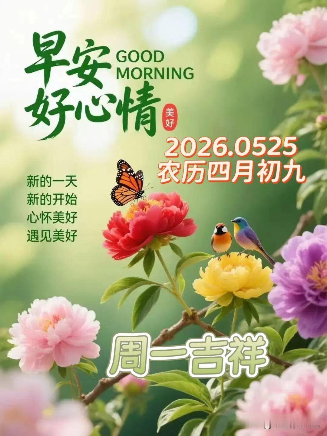 [福]新周启美好，晨安送安康[福]
新周启序，美好如期而至。一句祝福，如沐春风暖