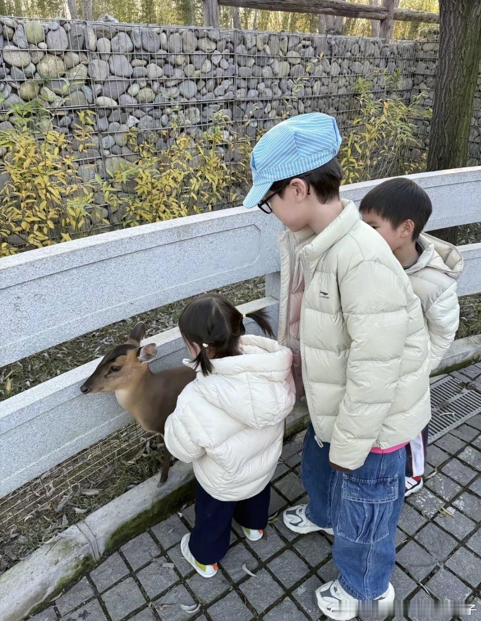 十一又跟俩哥哥去动物园玩了😂😂😂美丽姐：抱十一会有羞耻感 感觉周雨好像在我