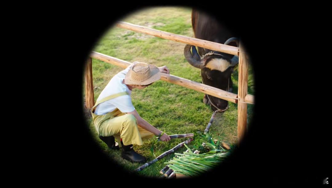 何浩楠百菲酪品牌营养何护大使百菲酪4.0g水牛纯牛奶  一、被何浩楠种草的百菲酪