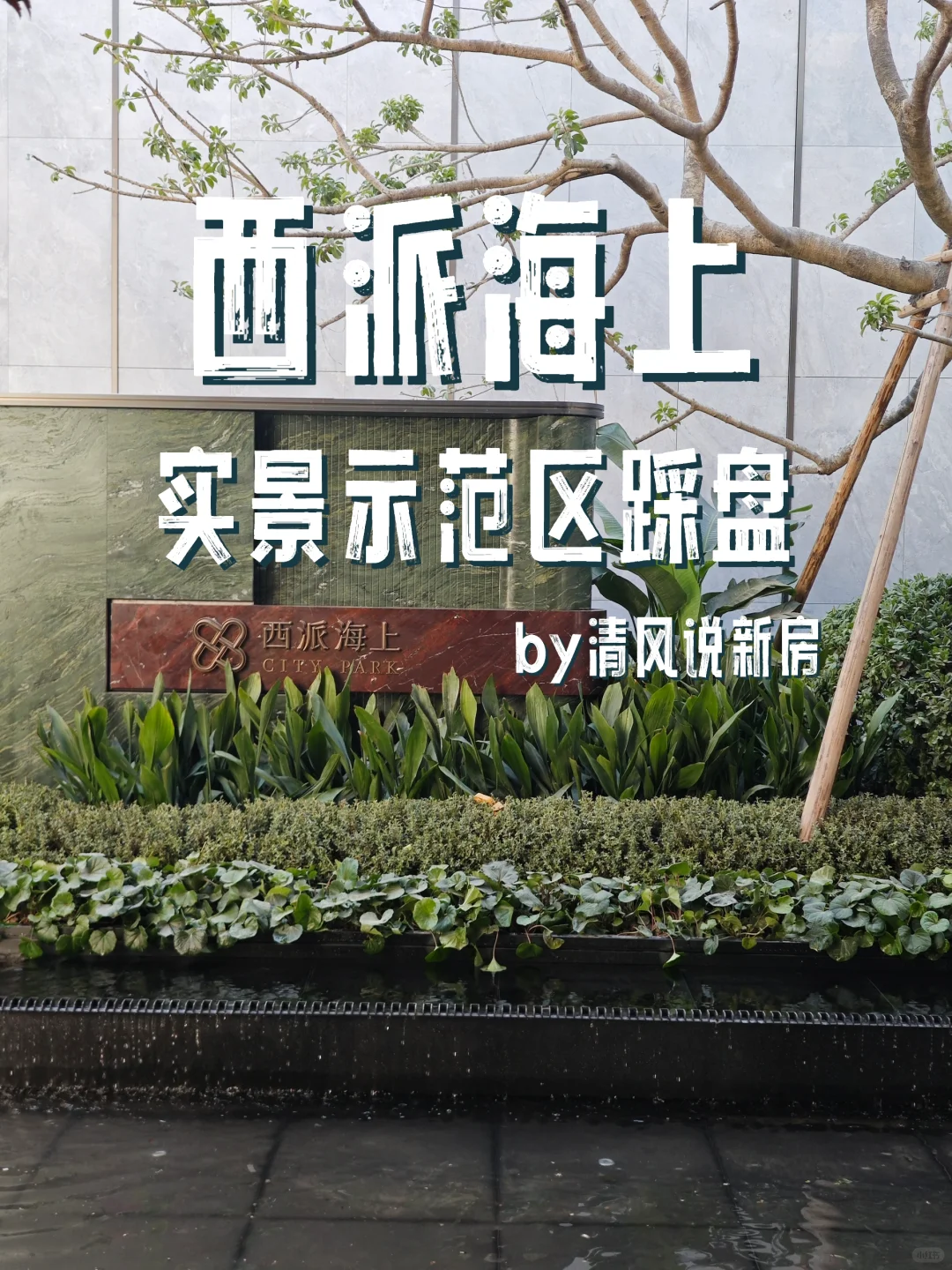 西派海上实景示范区踩盘：8000平，太夸张了