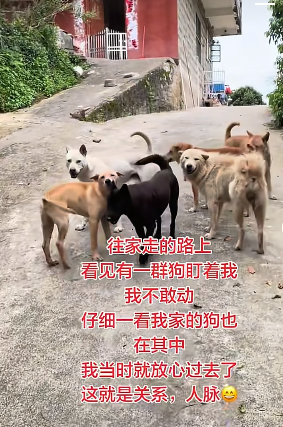 这就是人仗狗势，也可以说是关系和人脉的重要性 