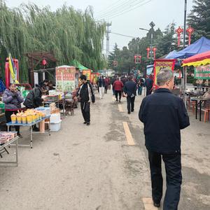 伏潭苍龙