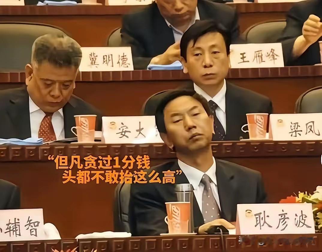 画面里，耿彦波端坐在会场，神态坦然自若，周身散发着刚正不阿的气场。
他深耕地方多