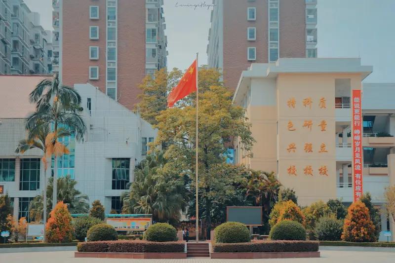 11月20日，厦门松柏中学一场校运会闹得沸沸扬扬。高一男生穿粉裙、戴假发cos“