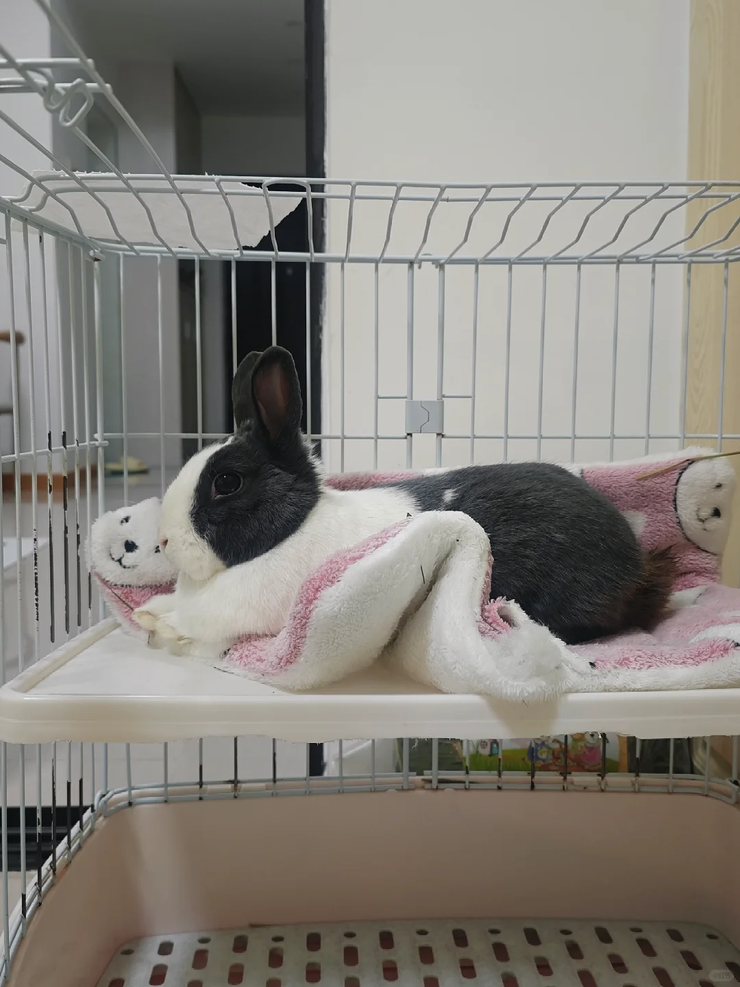 本宫的小蛮腰也是要垫一下嘟