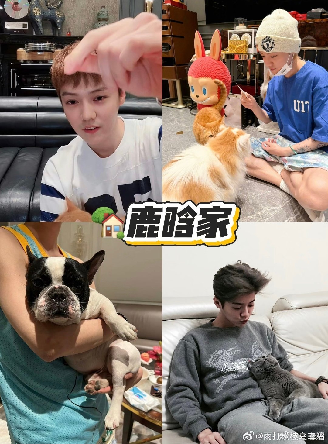 司晓迪 鹿晗客厅2026年7月6日凌晨，网红司晓迪发布客厅相关照片，凭借装修细节