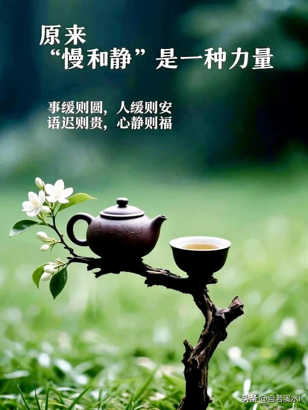 新的一天如约而至，保持热爱，心怀期待，所有幸运都会慢慢靠近你。