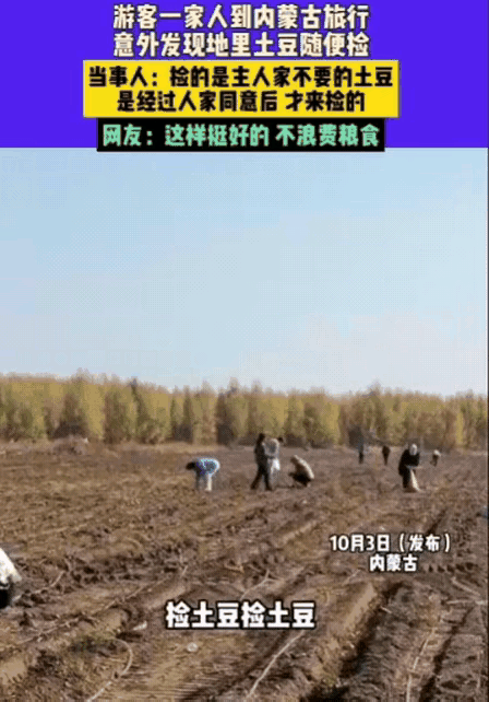 男子一家去内蒙古旅行，意外发现路边地里有很多土豆，于是跑到地里去捡，而主人家不仅