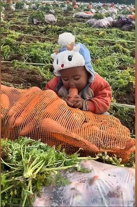 这种老品种小孩现在真的少见了？

头戴鹿头帽，身穿开档裤，还淌着鼻涕，逮住带泥的