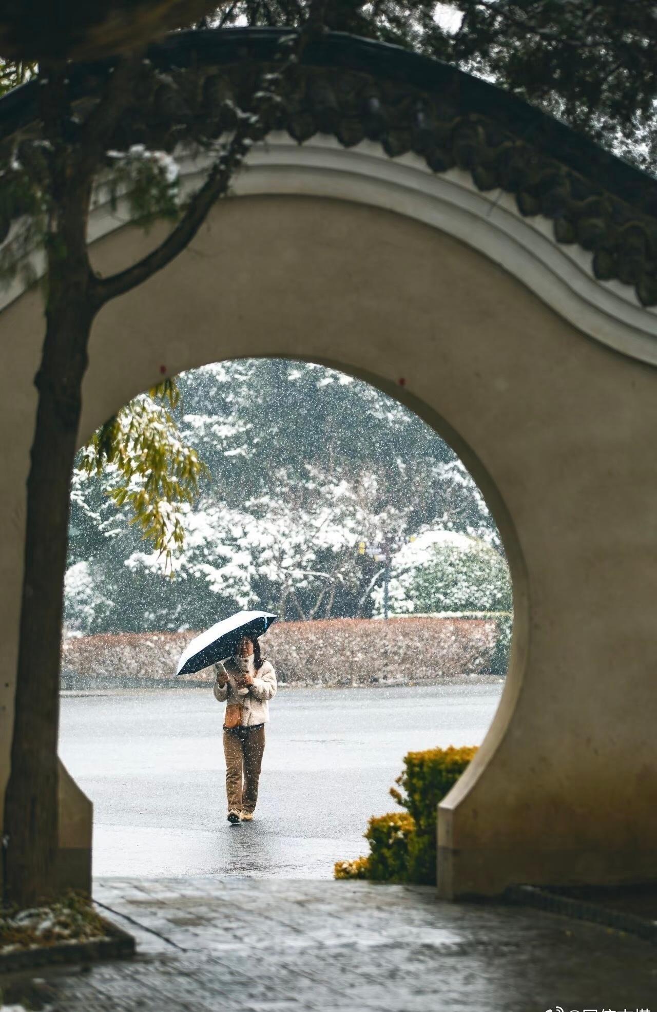 辽宁大连：漫天春雪 片刻驻足