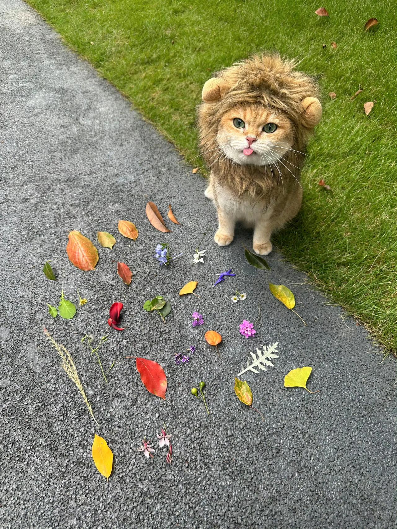 出门捡秋天喽🍂|
