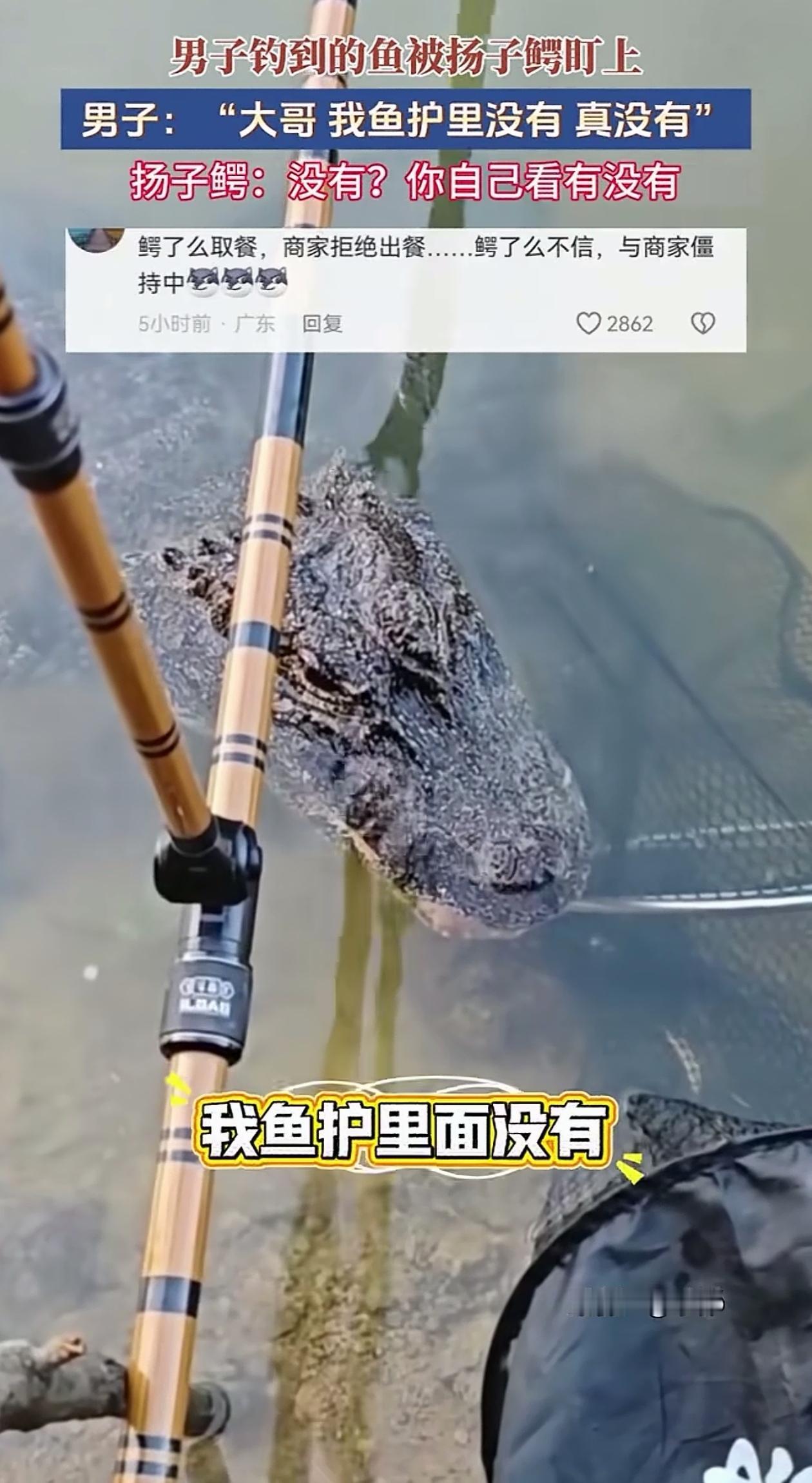 “笑翻了！”安徽，男子在河边钓鱼，好不容易钓到几条鱼，正准备走，没想到一条扬子鳄