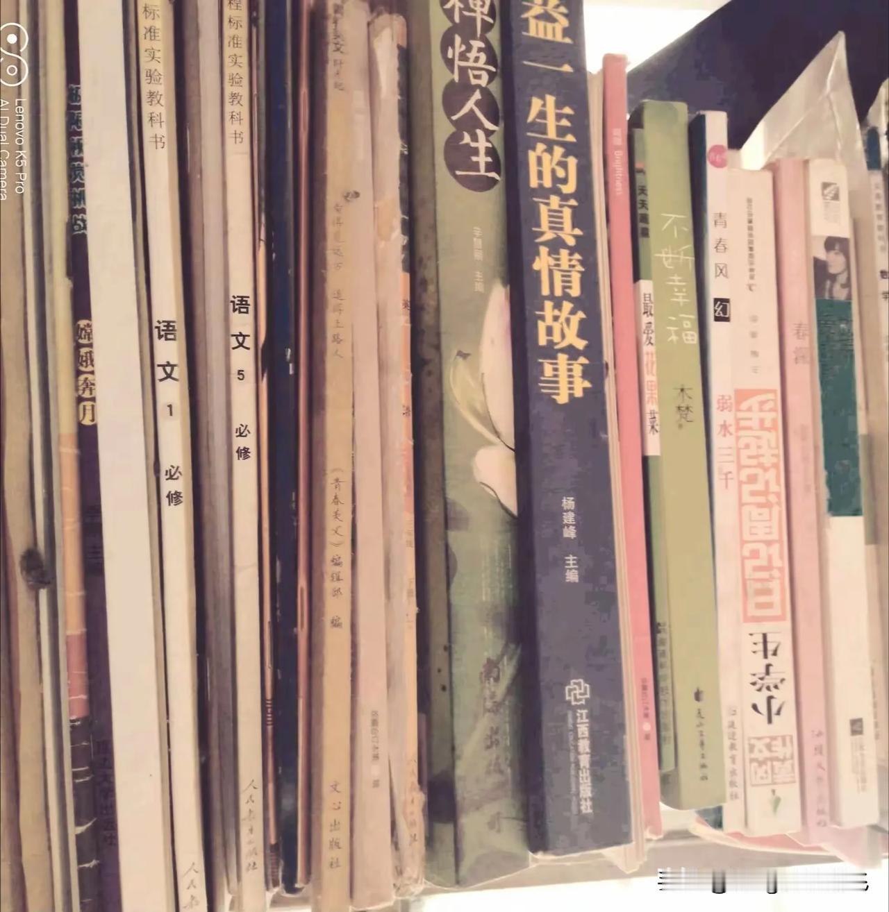 我一直喜欢读书，家里房间的书柜，放满了书。书，陪我度过了很长很长的时光；书，是我