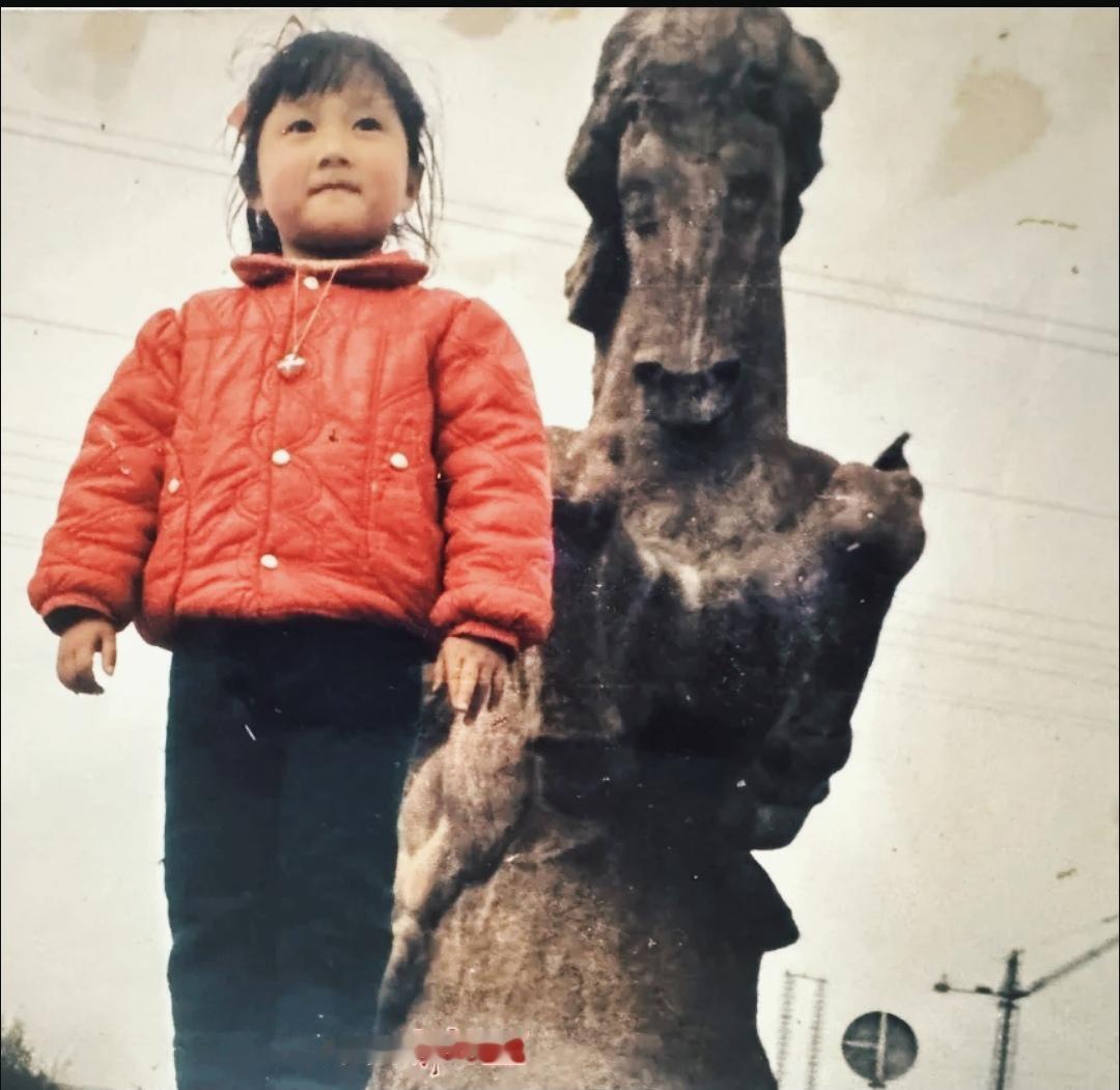 《蚌埠的大石马》
       蚌埠禹会区的大石马，已然成为一处地标。每次乘坐2
