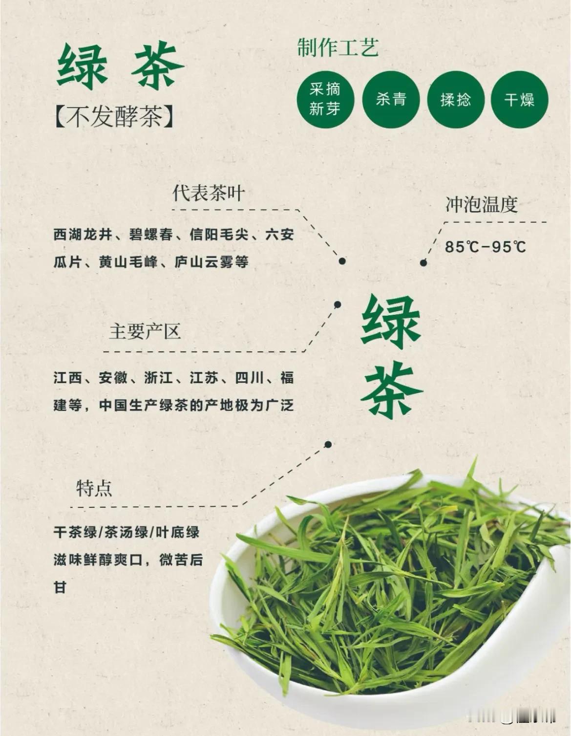 绿茶入门知识科普建议收藏！