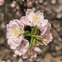 我的今日状态：😁轻松愉快
我这里的天气：☀️晴天
