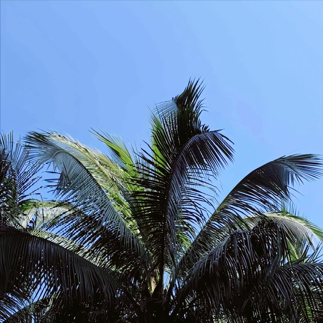 12月19日，中戏郝戎的新闻，媒体公开披露。
 
此人今年54岁，初心使命背离，