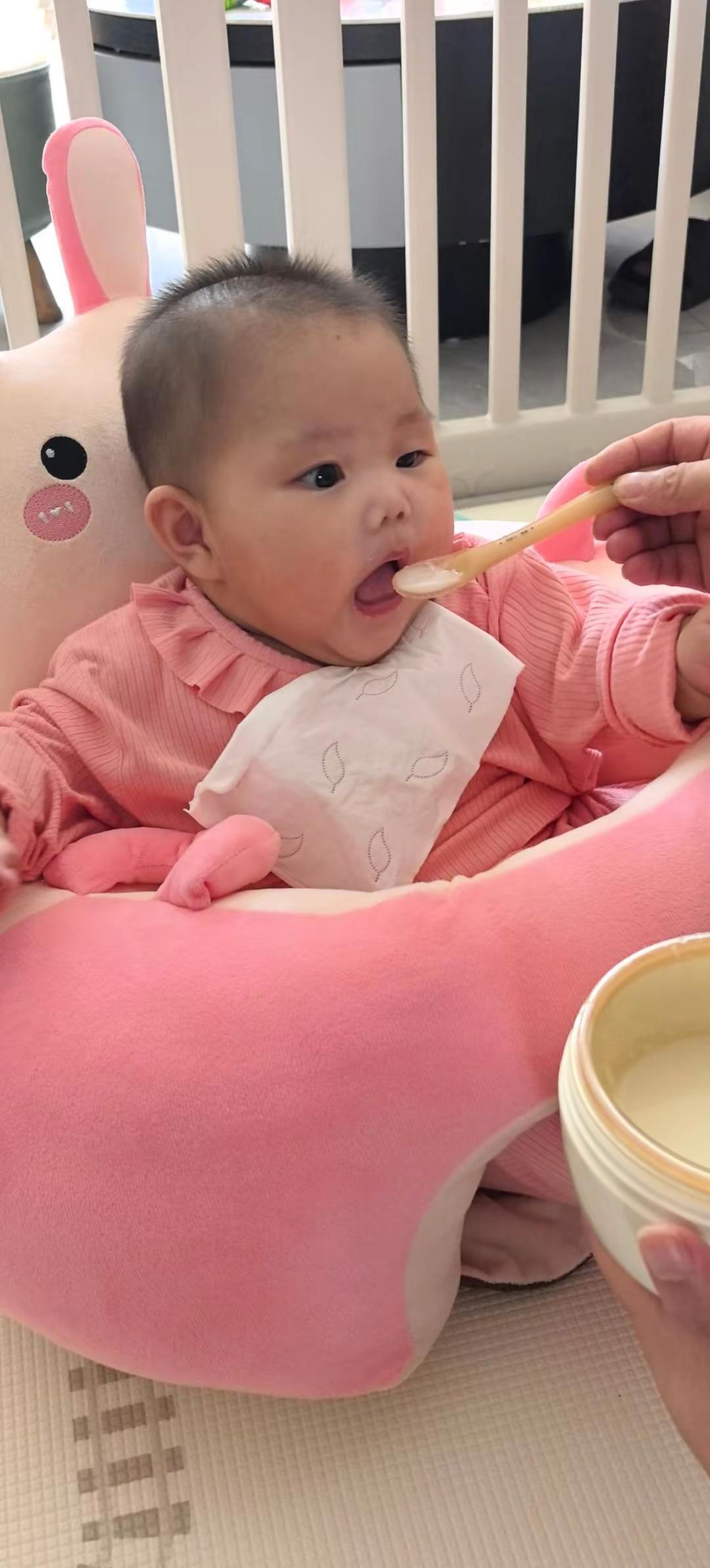 小米6个月啦！正式成为小小干饭人🥣每天吃饱饱 生活没烦恼🥳
