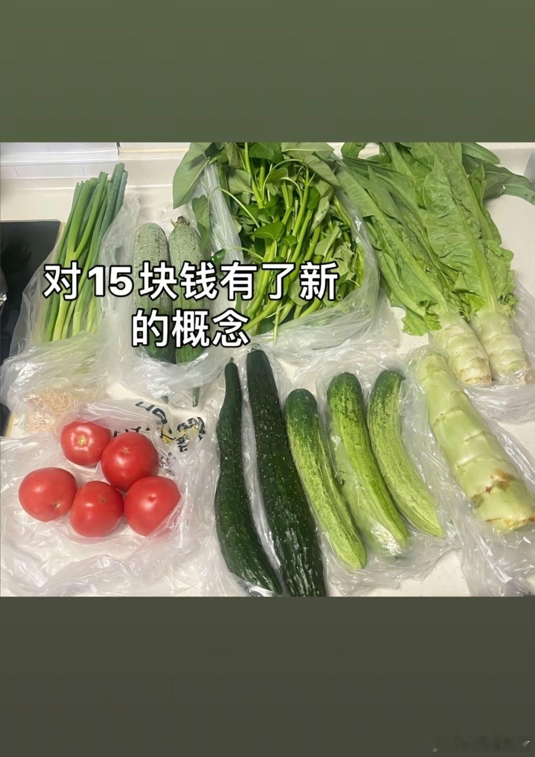 对15块钱有了新的概念 ​​​