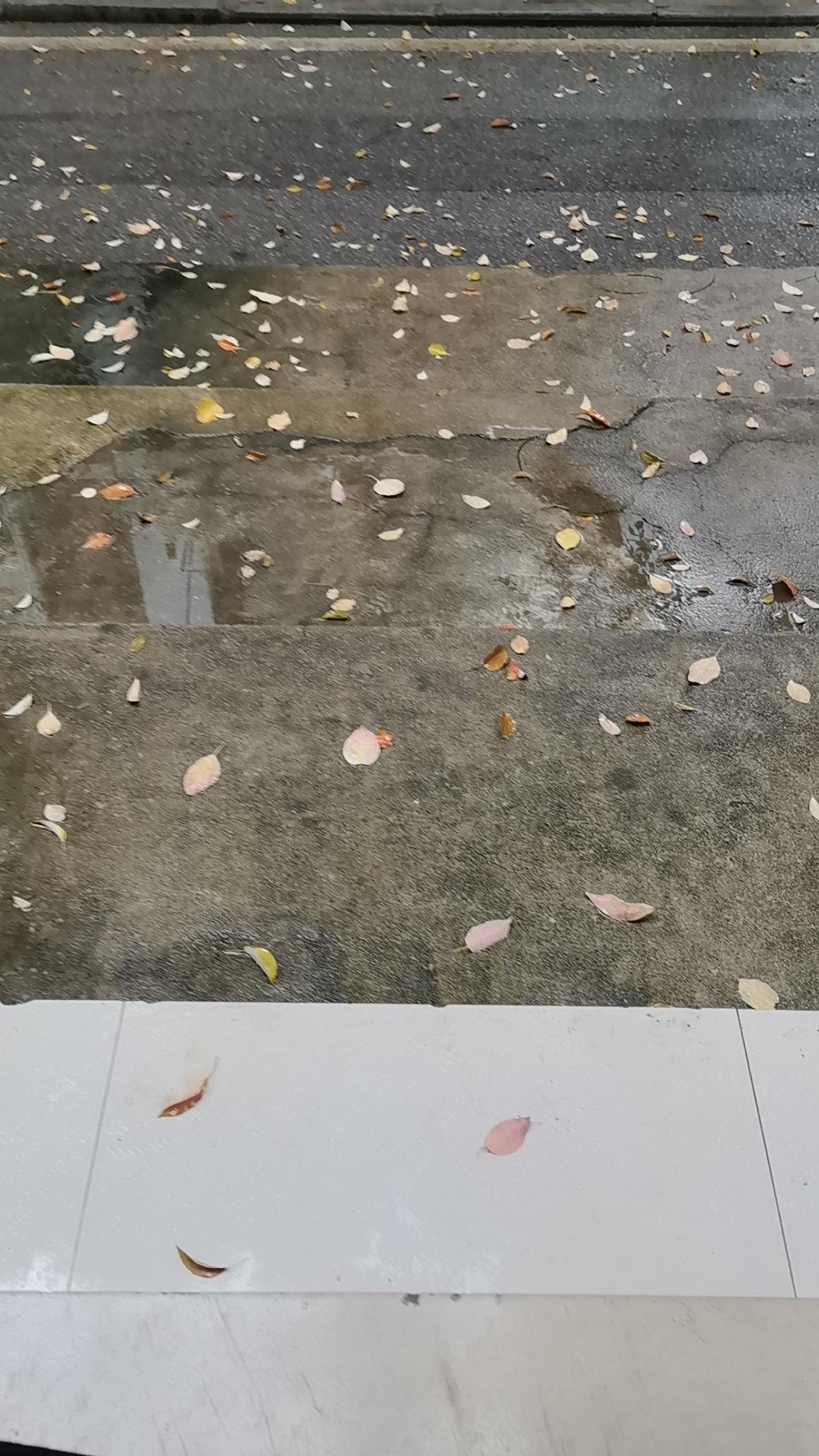 今天一去就接到人投诉，说公鸡叫得人心烦，我马上给那鸡叫的业主打电话，谁知竟捅了马