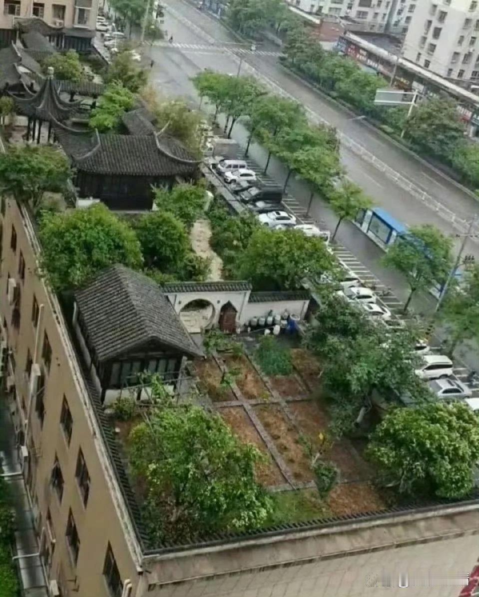 这样的环境给一千万都不卖啊 ​​​