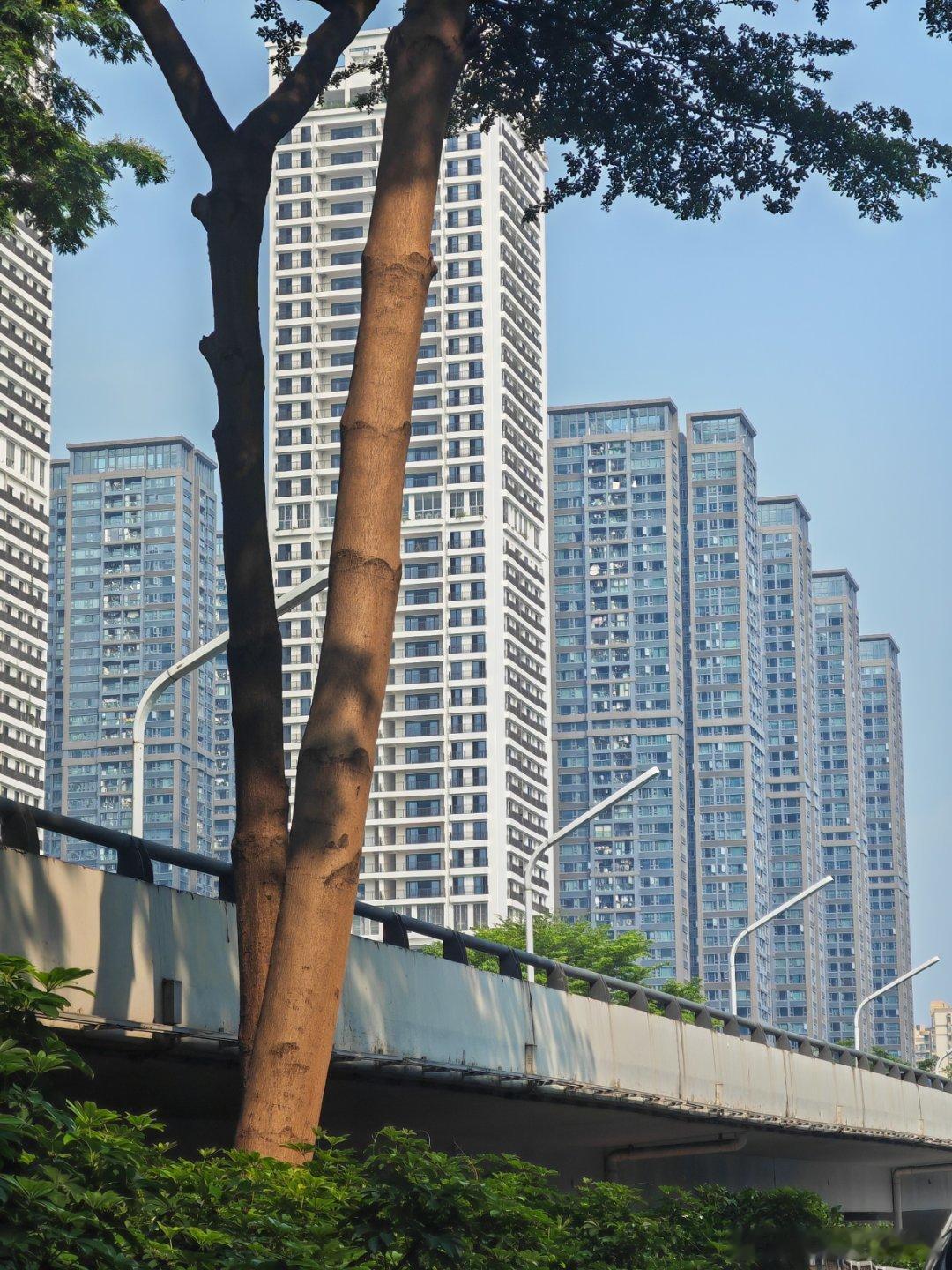 宝安第一网红盘，这波小阳春没啥表现。 