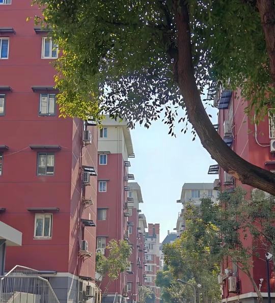 花3万给老破小装电梯居然黄了🤯5楼人麻了！
95年楼梯房装电梯我举双手赞成！！