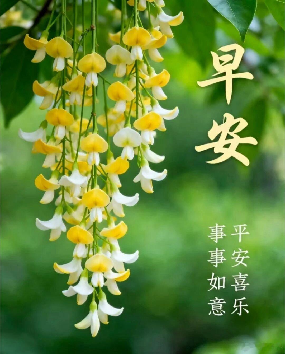 平淡的日子也多彩！ 