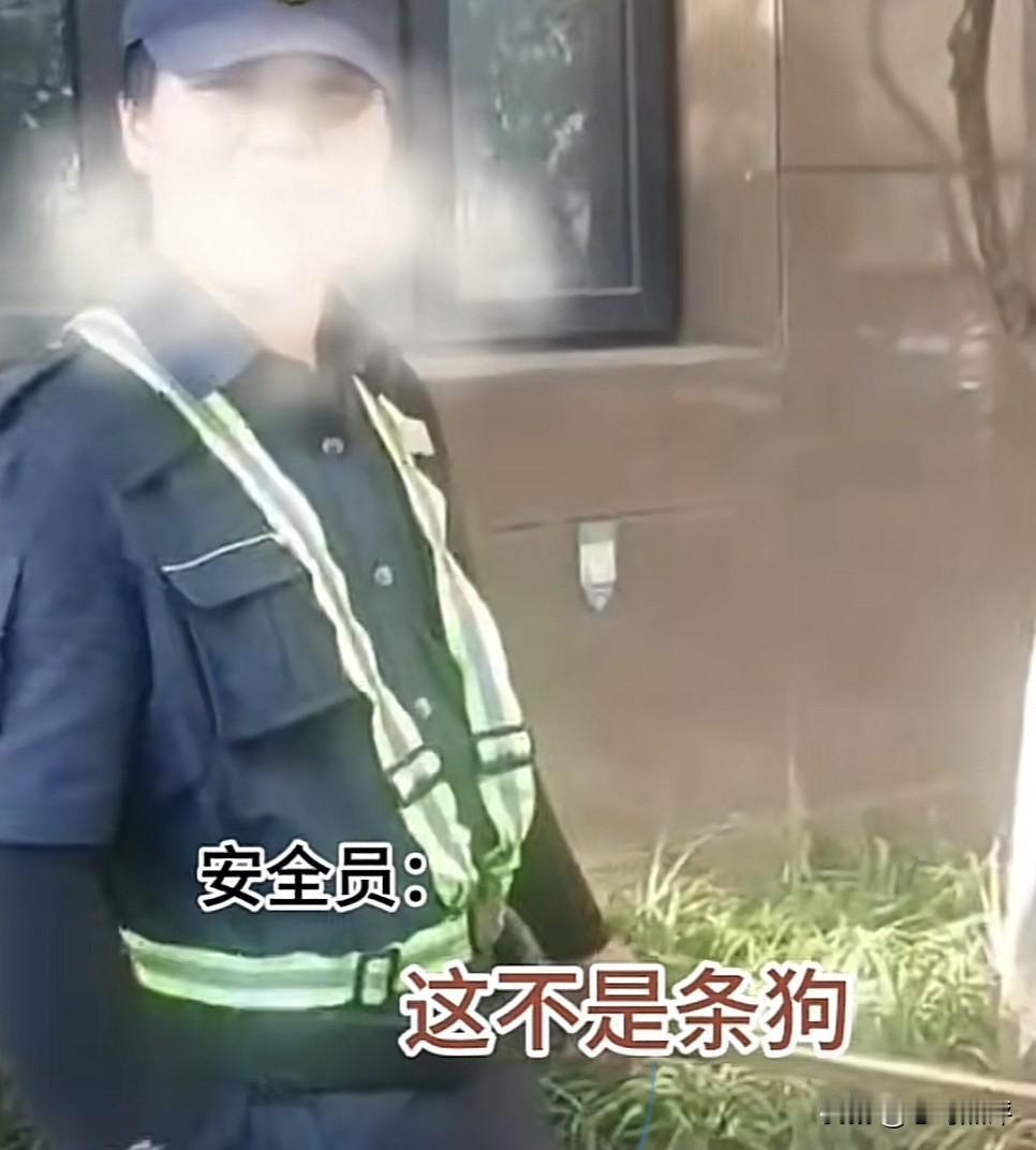 我实在是看不下去了，仅仅是因为外卖员闯岗进小区送餐，结果就被门口保安锁住脚示众，
