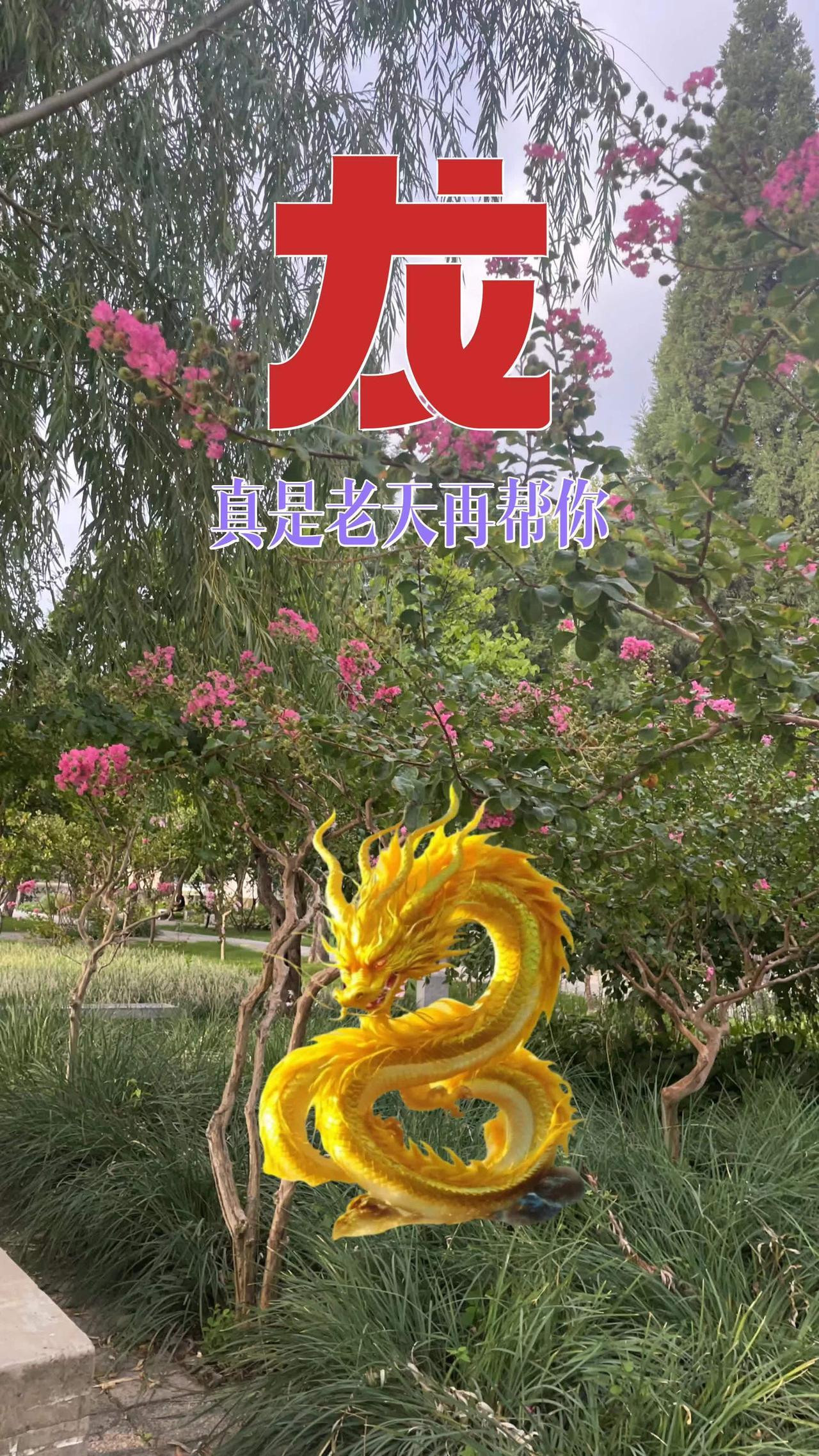 76年的龙 88年的龙 00年属龙